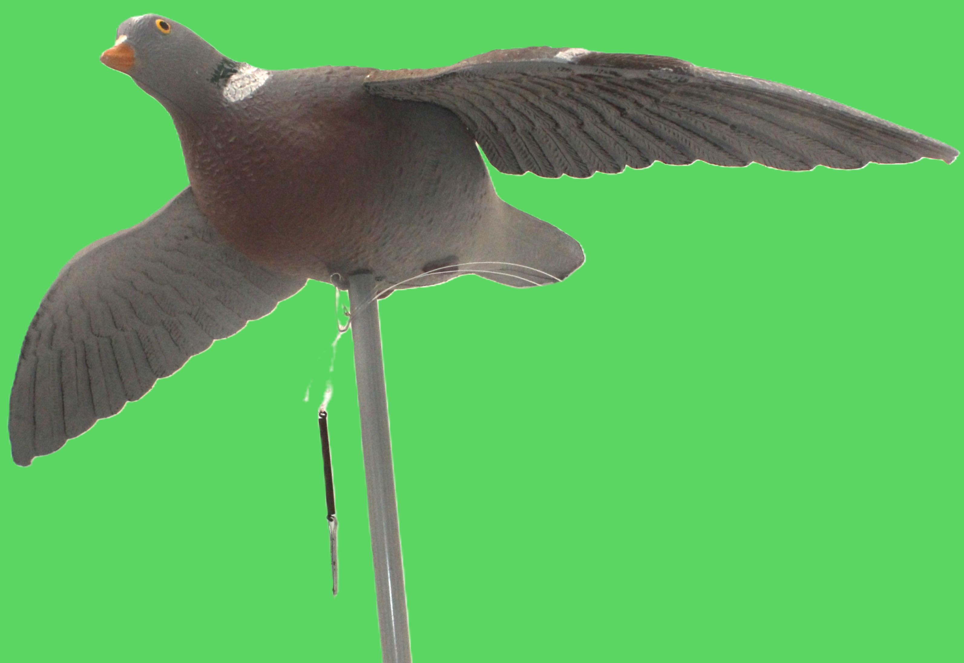 Pigeon Flapper